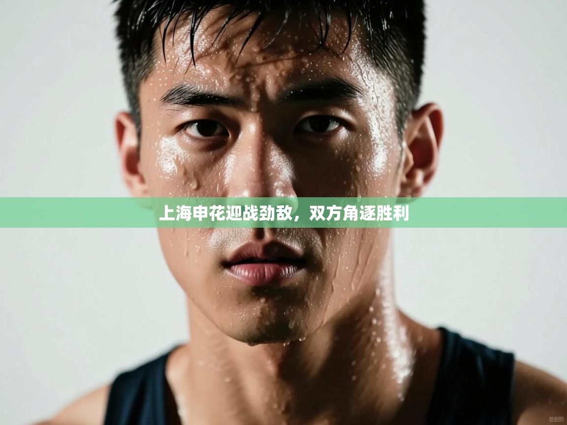 上海申花迎战劲敌,双方角逐胜利 第1张